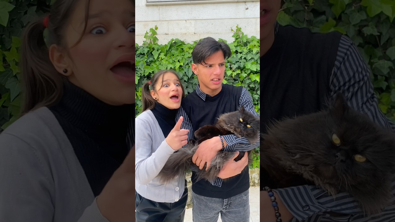 انا مصدومه من كلشي عم يصير:😱