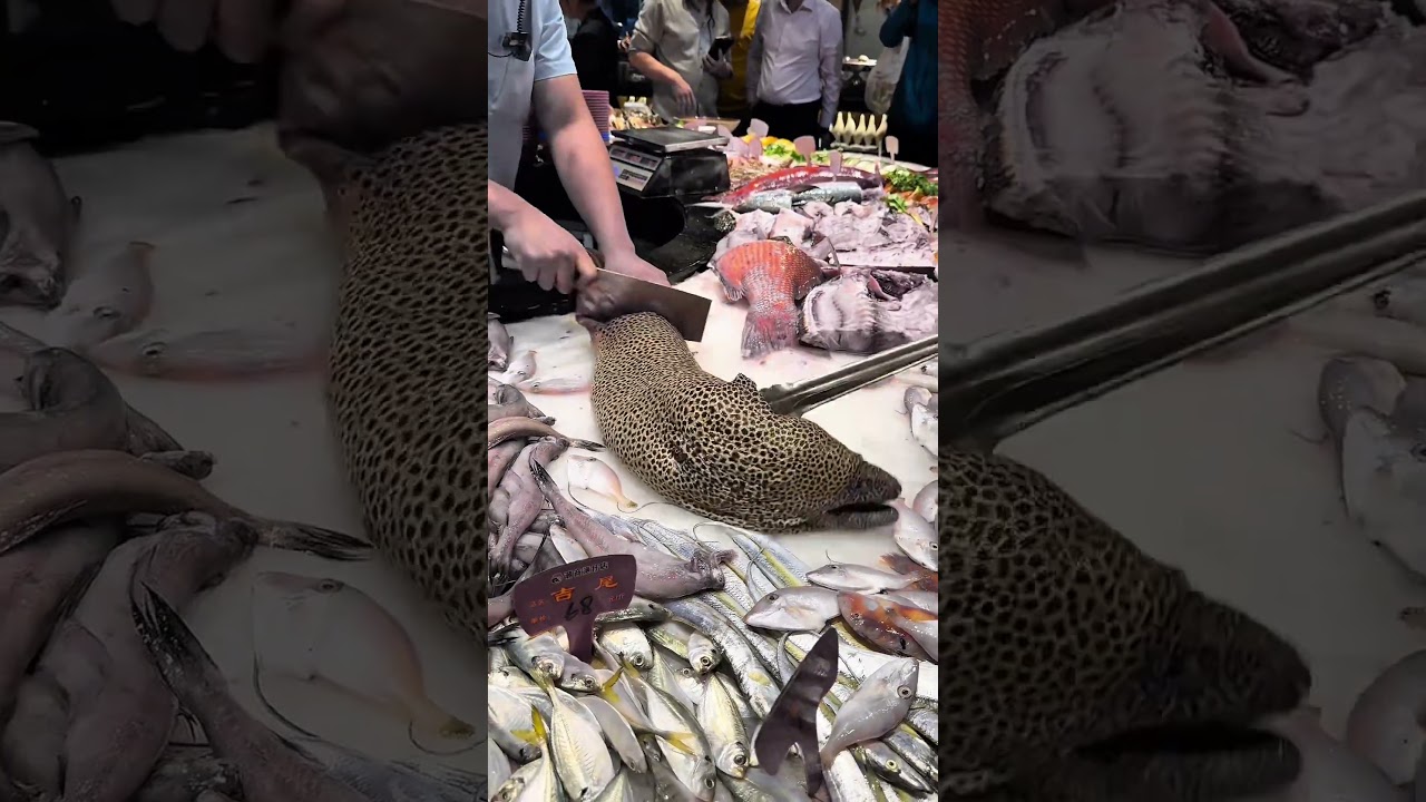 Fresh Eel Fish Cutting & Grilling at Fisher Restaurant | Satisfying Seafood Cooking Process