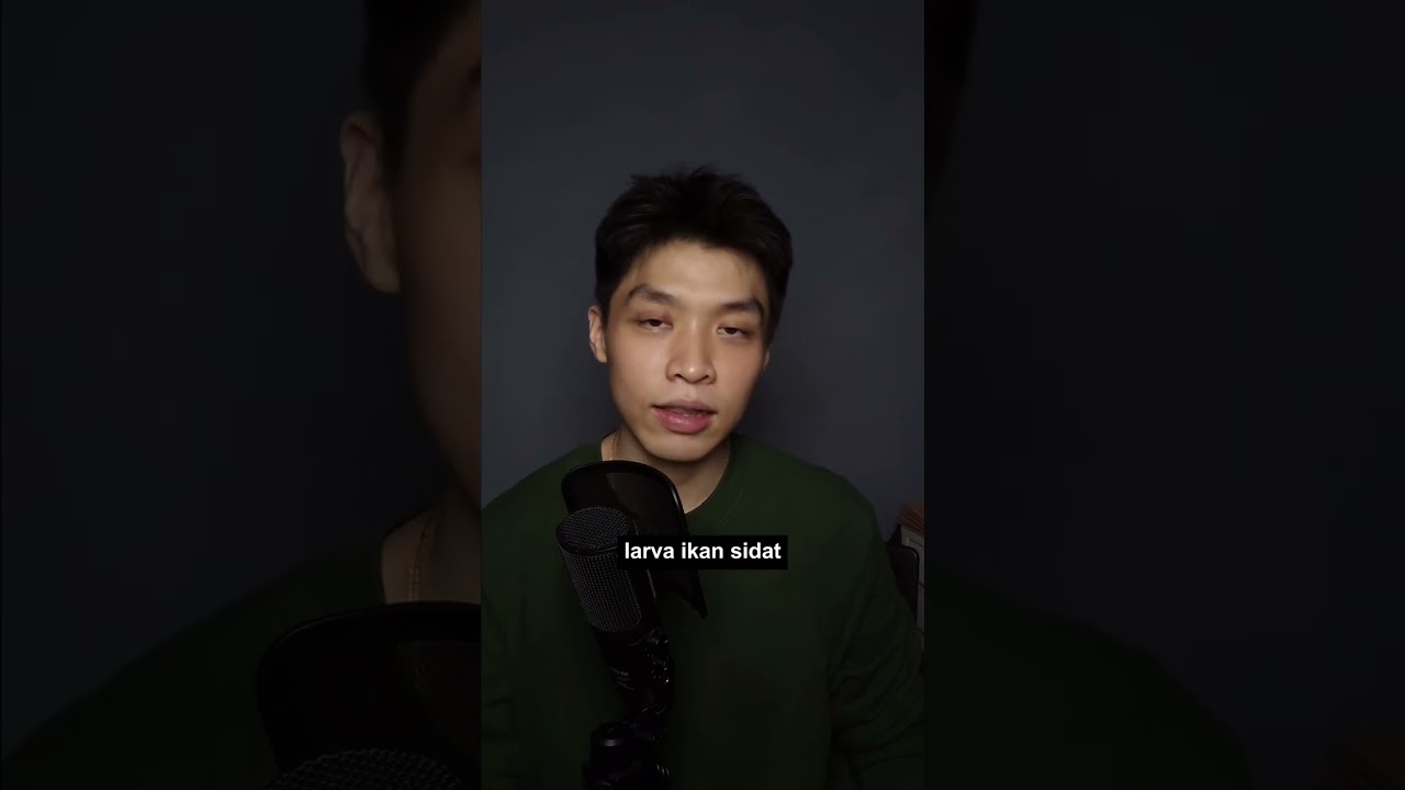 Binatang ini suka ke segitiga bermuda...