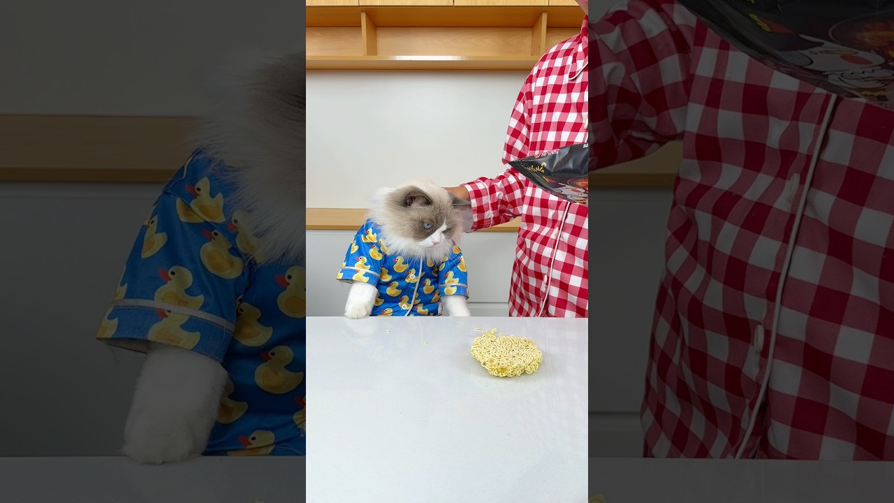 I’m pretty sure this is still no good Puff! #thatlittlepuff