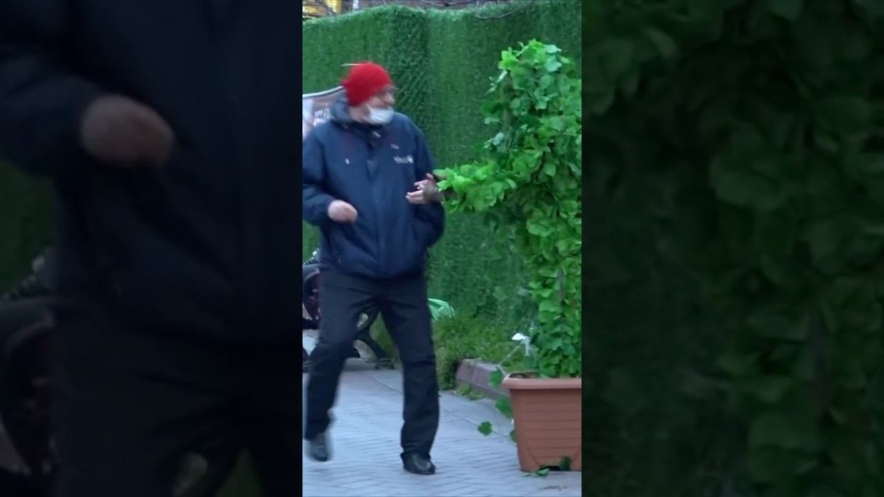 Dayı Parayı Götürdü 😂 Ağaç Adam Şakası videomuzdan #shorts #komedi #funny #prank #bushmanprank