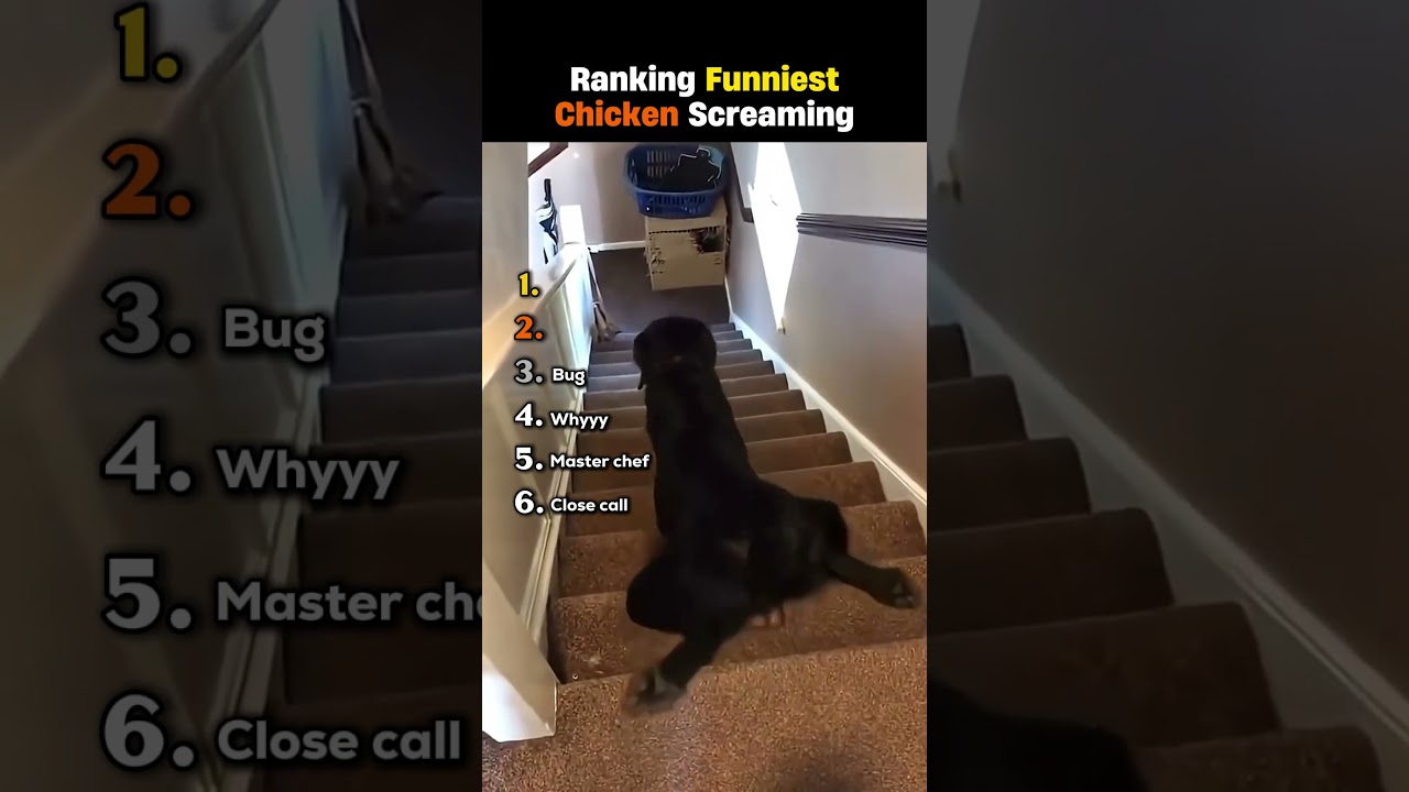 Ranking Funniest Chicken Screaming 😭💀