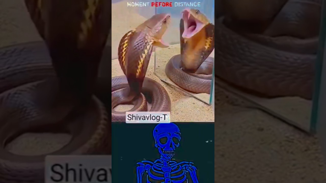 #edit😱