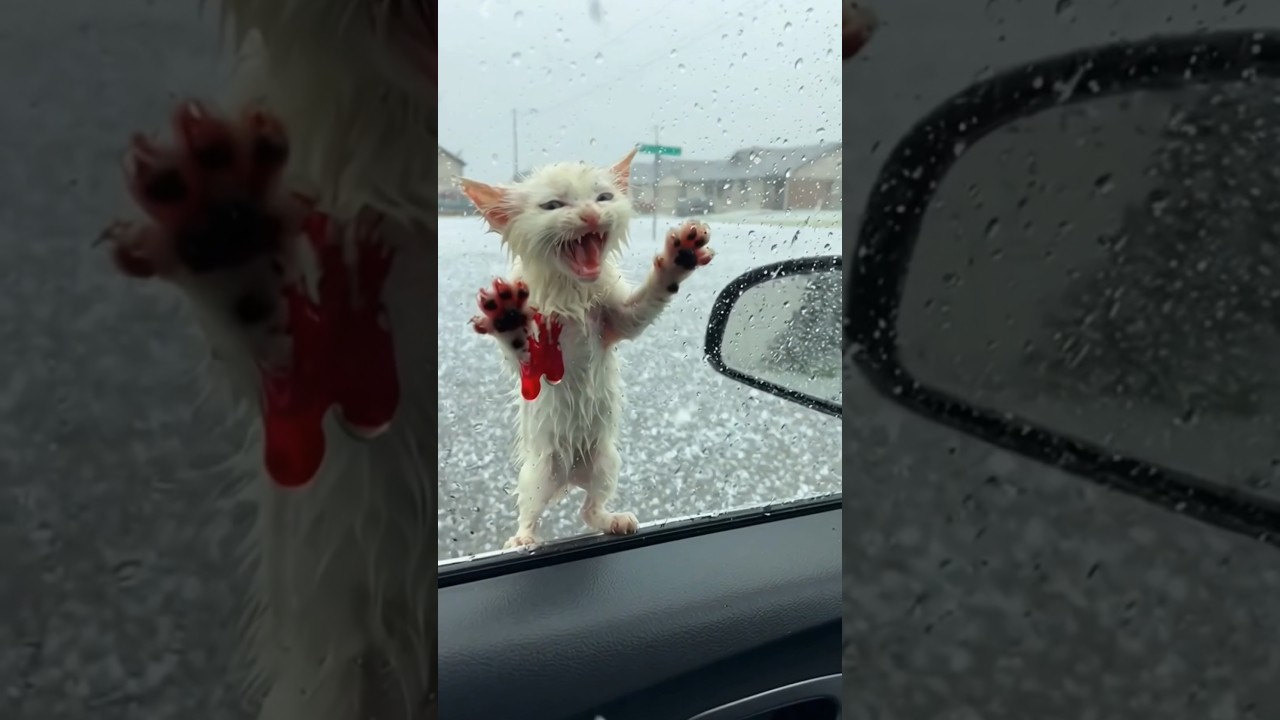 Phillies land All-Star closer Jhoan Duran ahead of MLB trade deadline 💔😿