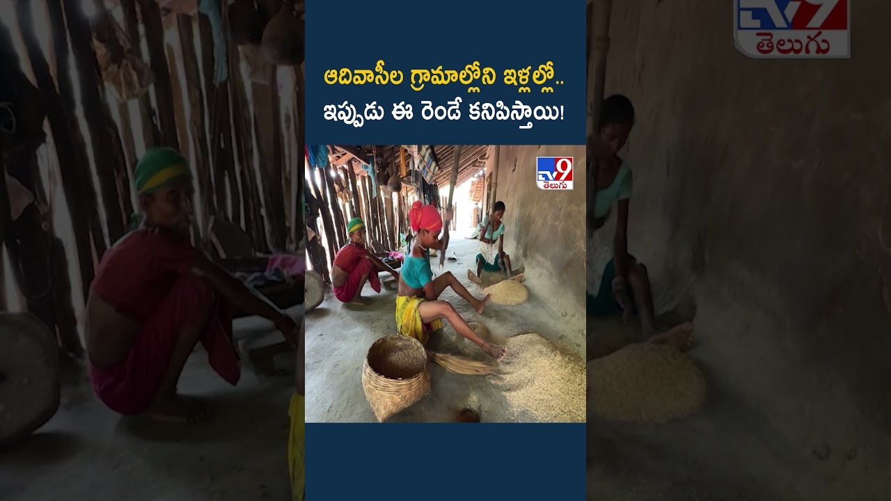 ఆదివాసీల గ్రామాల్లోని ఇళ్లల్లో..ఇప్పుడు ఈ రెండే కనిపిస్తాయి! - TV9