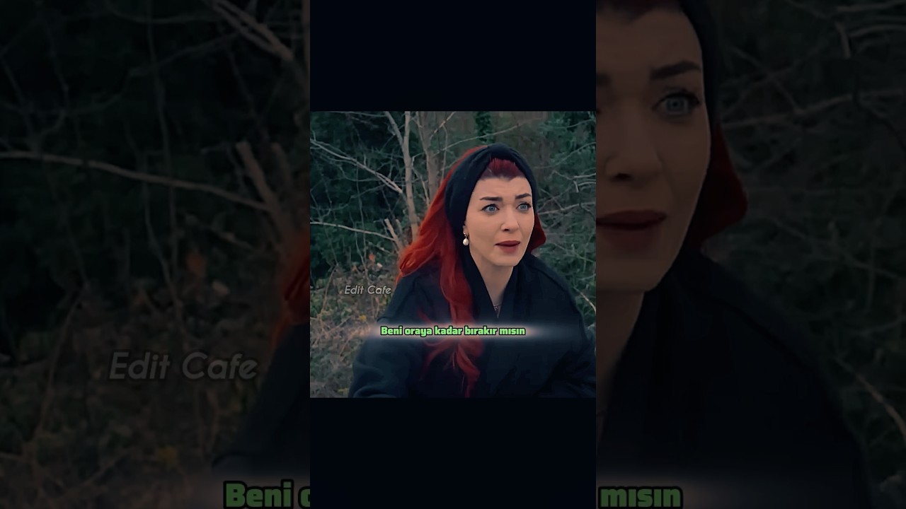 Yıldız Kuzey’den kaçıyor😁 #kuzeyyıldızıilkaşk