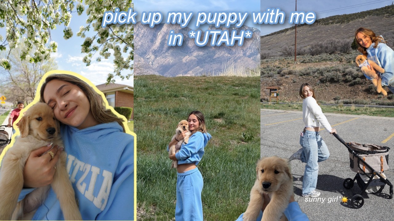 come pick up my *PUPPY* in UTAH | my sunny girl diaries
