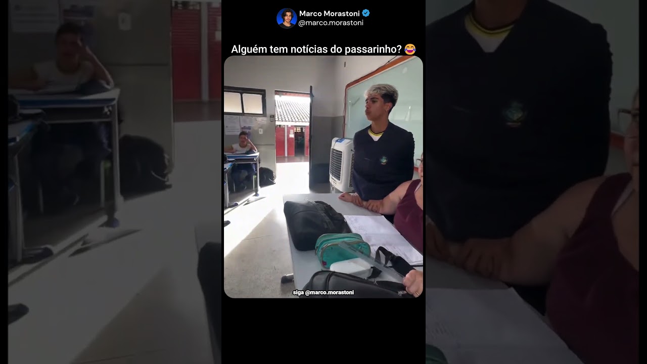 Acho que o passarinho não ta bem🤣#motivação #inspiração #felicidade #divertido #escola #professor