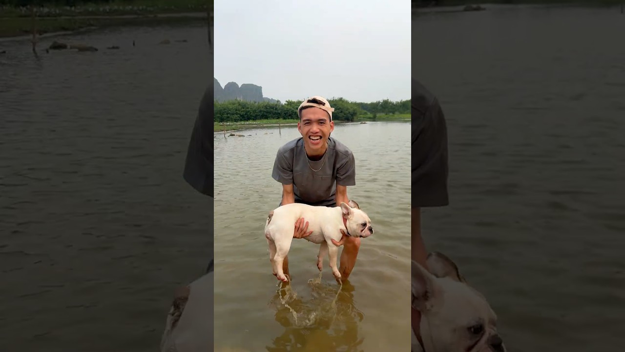 This Dog Transformation Is Amazing