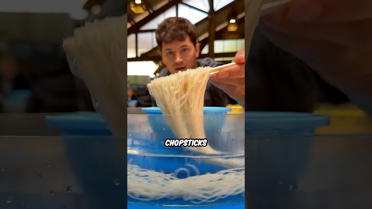 Japanese Swimming Noodles