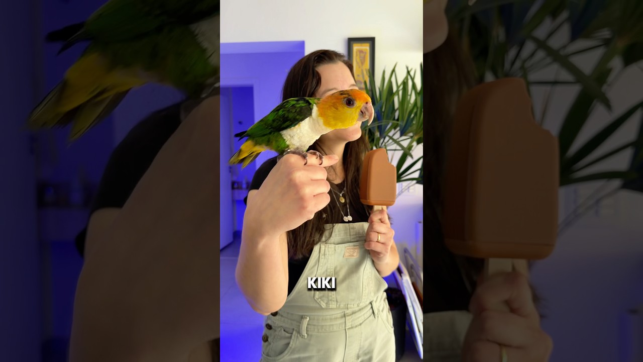 A KIKI não pode comer sorvete #shorts