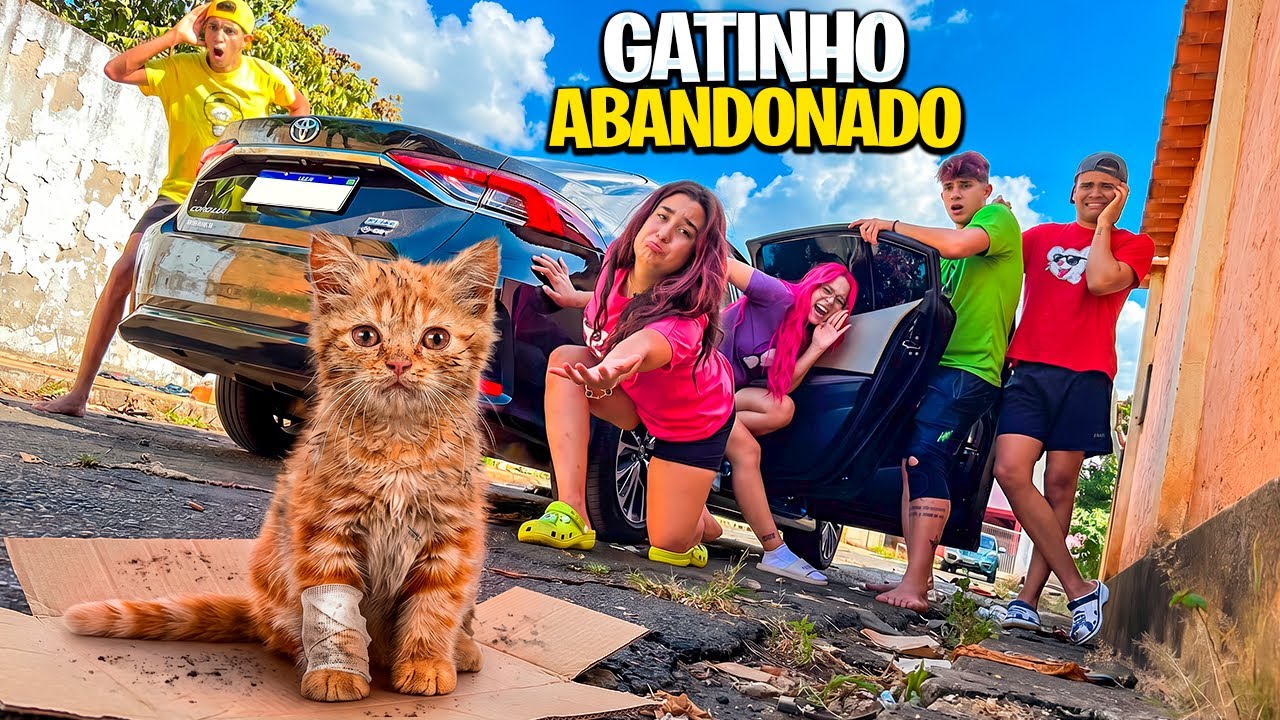 ENCONTRAMOS UM FILHOTE DE GATO ABANDONADO *Adotamos ele ?
