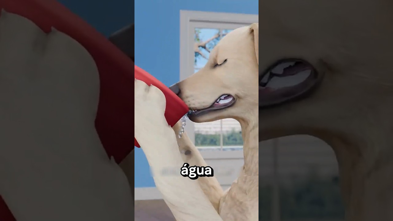 O JEITO QUE SEU CACHORRO BEBE ÁGUA VAI TE SURPREENDER 🐶💧