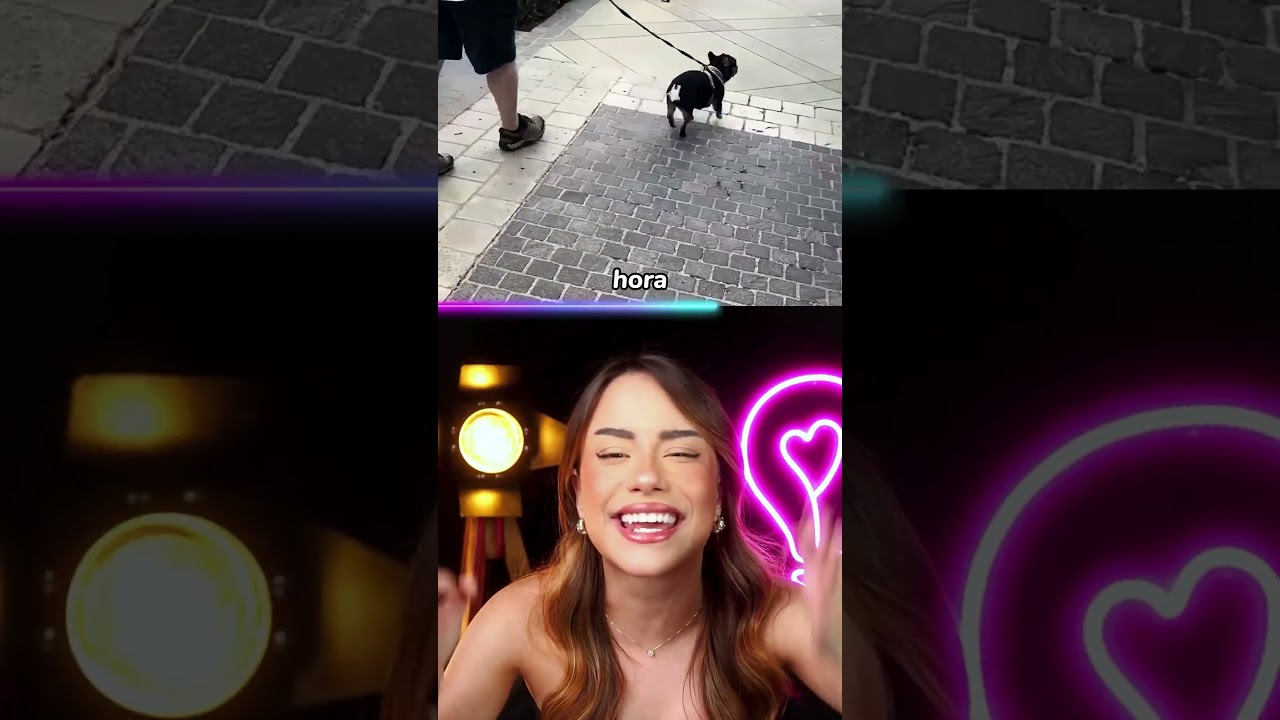 o cachorro RECONHECEU O DONO??