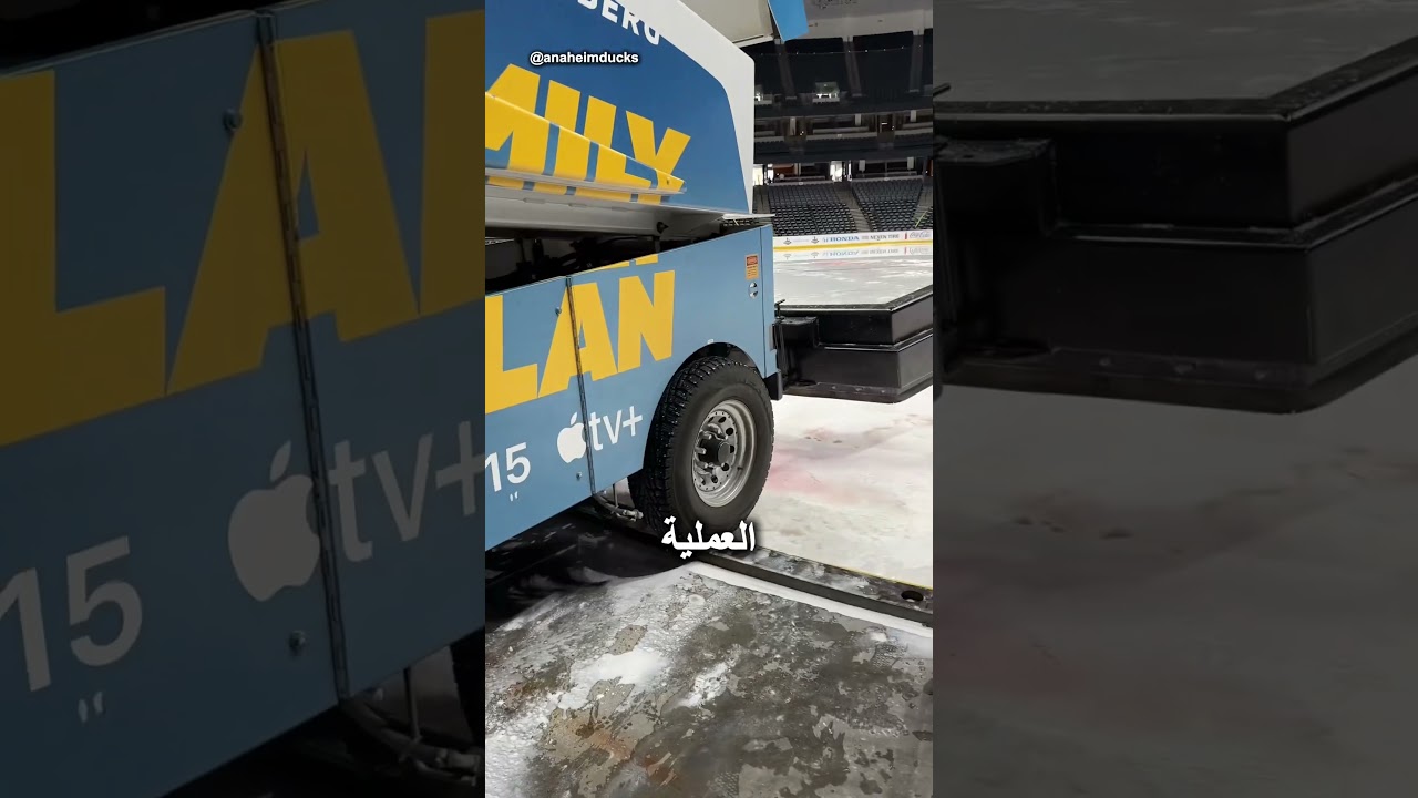 هذا ما يحدث عندما ينتهي موسم الهوكي 🤯