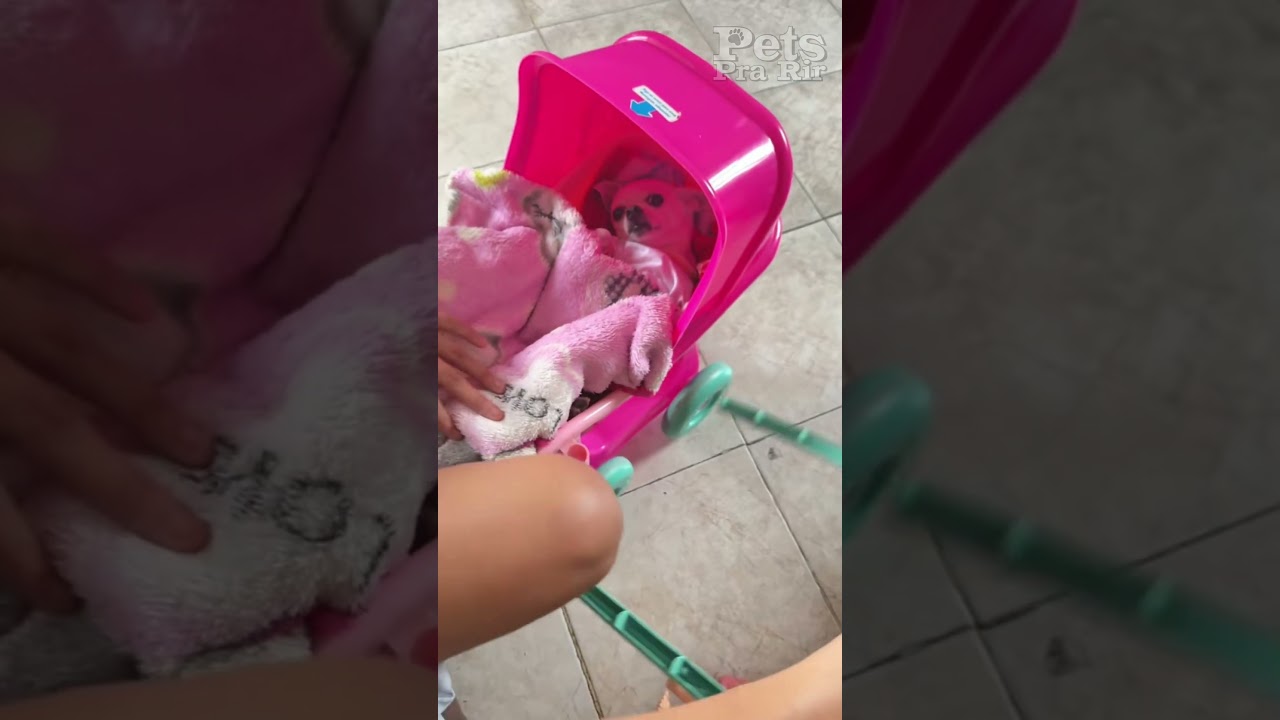 Palavrinhas mágicas😂😂❤️