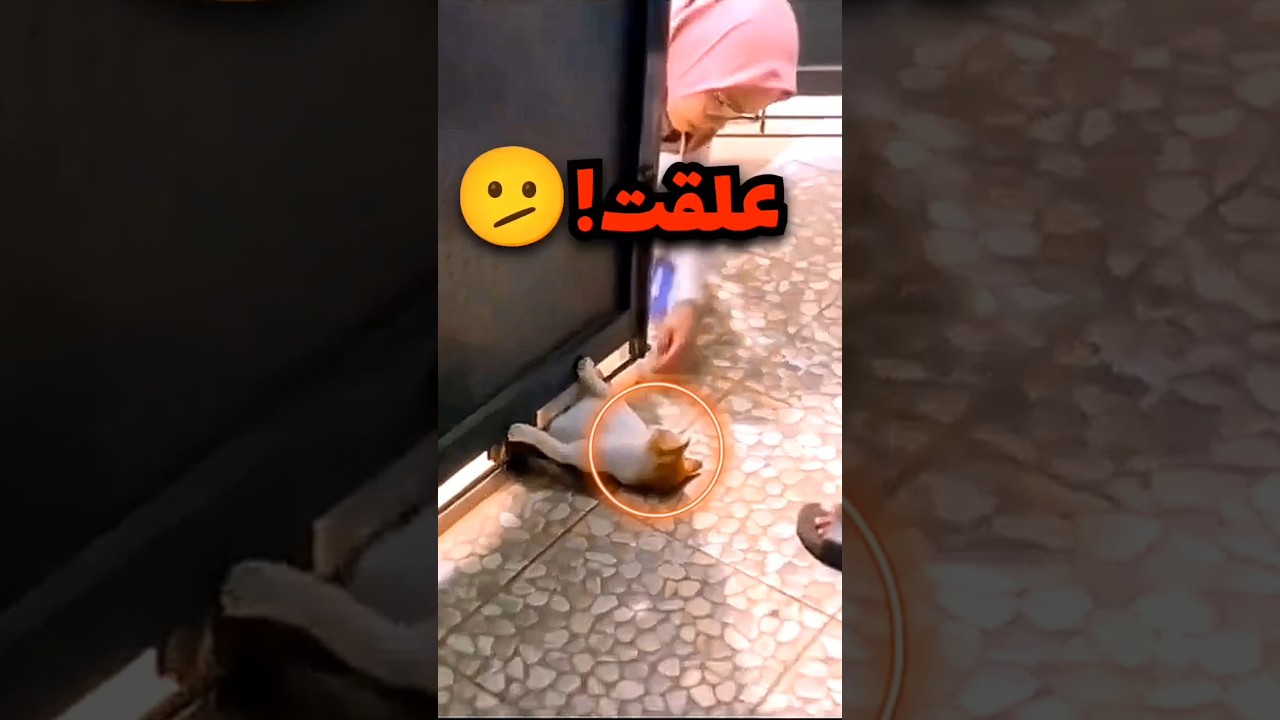 هادي البسة علقت تحت الباب بسبب نسيانها انها حامل وهذا اللي صار🙃