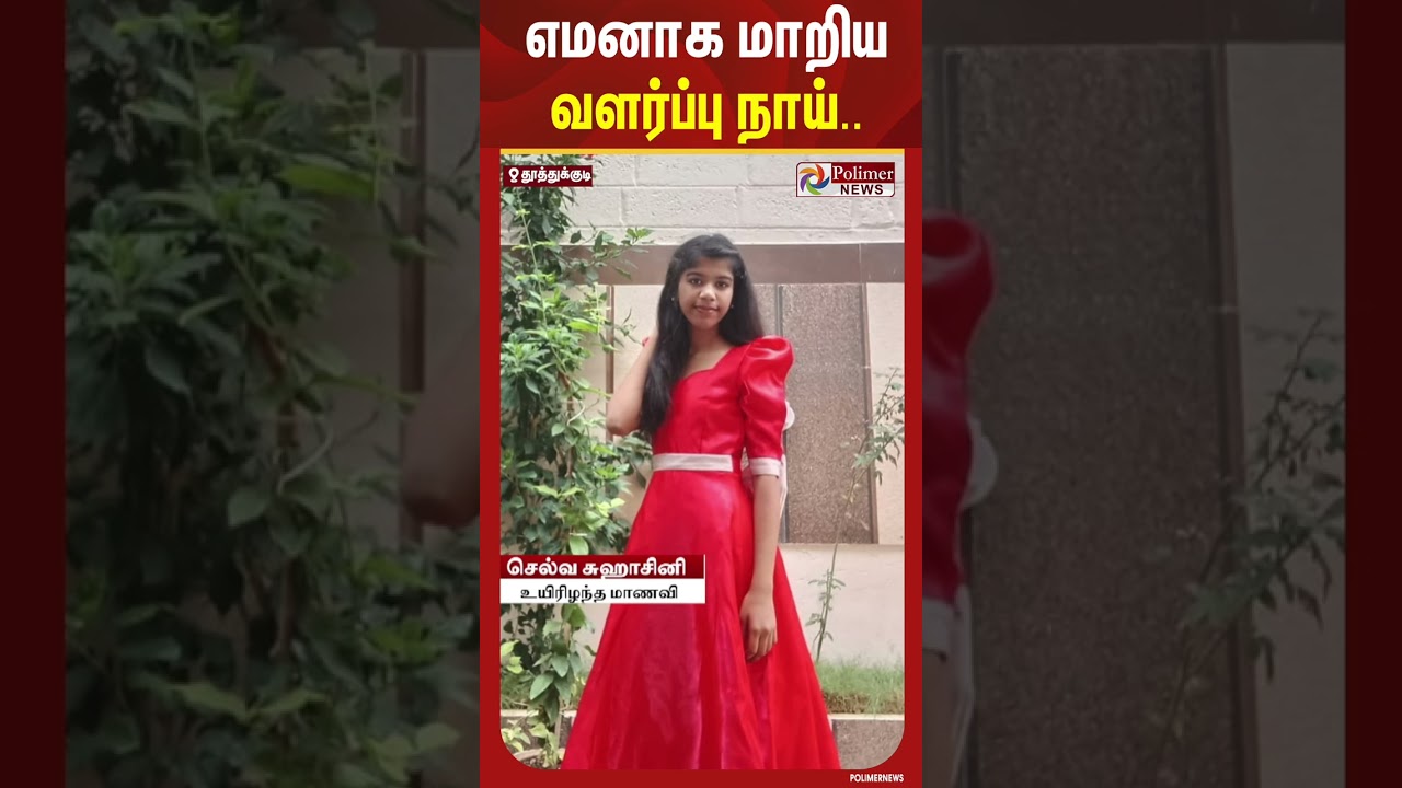 நகக்கீறல் கூட ஆபத்து.. ஒரு சிறு அலட்சியத்தால் பறிபோன உயிர்.. #shorts #dog #pet