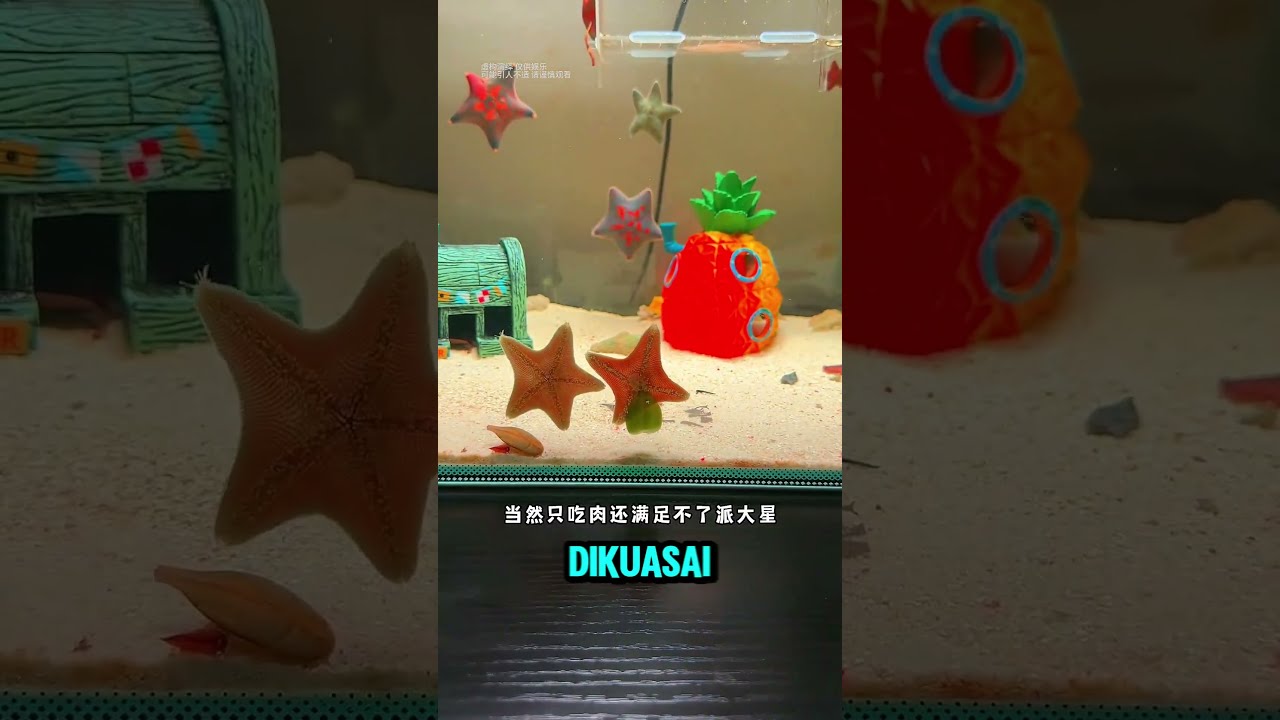 MEMBUAT BIKINI BOTTOM DI DUNIA NYATA⁉️🤯