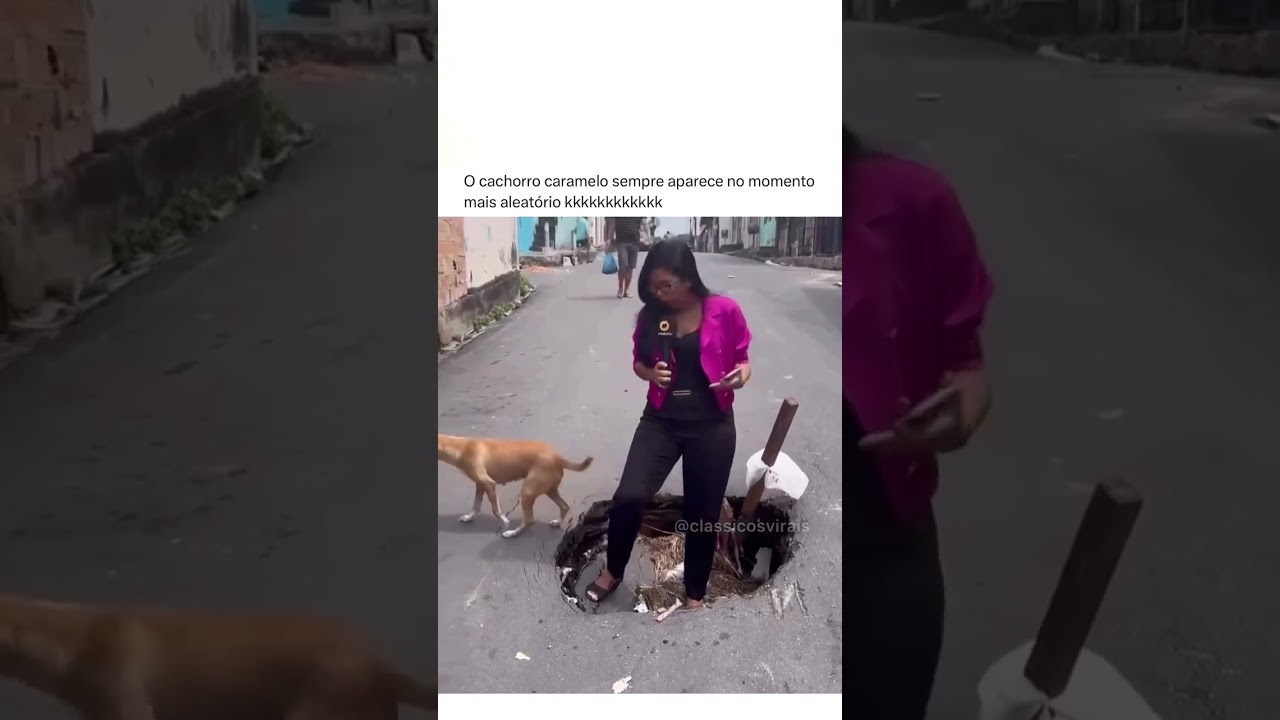 Caramelo sendo Caramelo 😅❤️