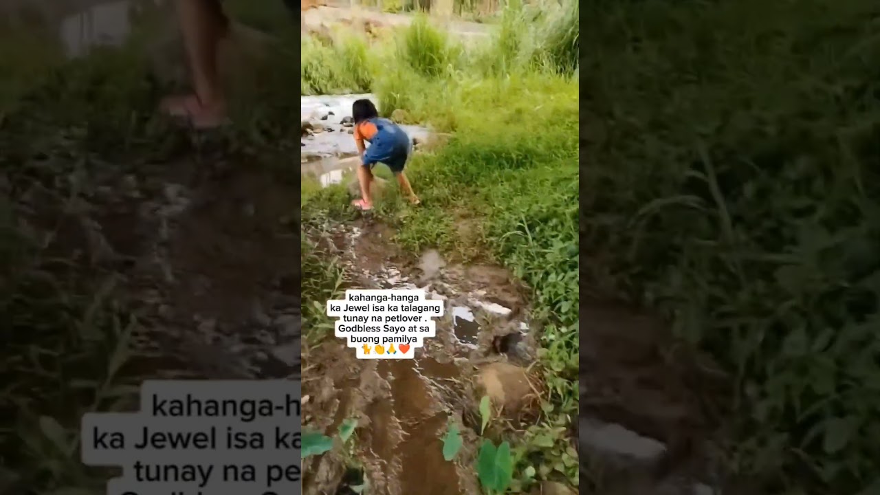 Jewel saved the little kitten and showed real kindness 🙏 #jewelthepetlover #jewelandkawkaw #shorts