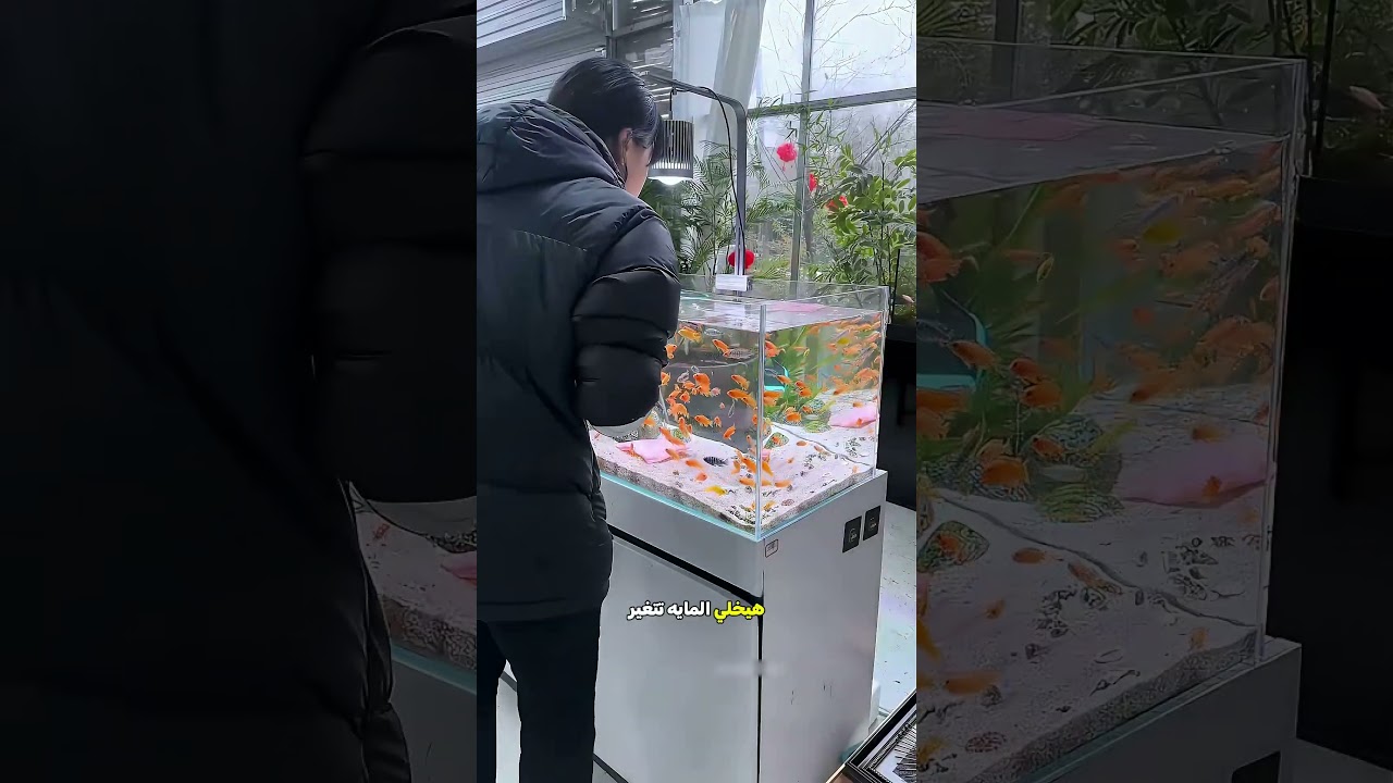البنت اتفاجئت لما حوض السمك بقى نضيف 🐟