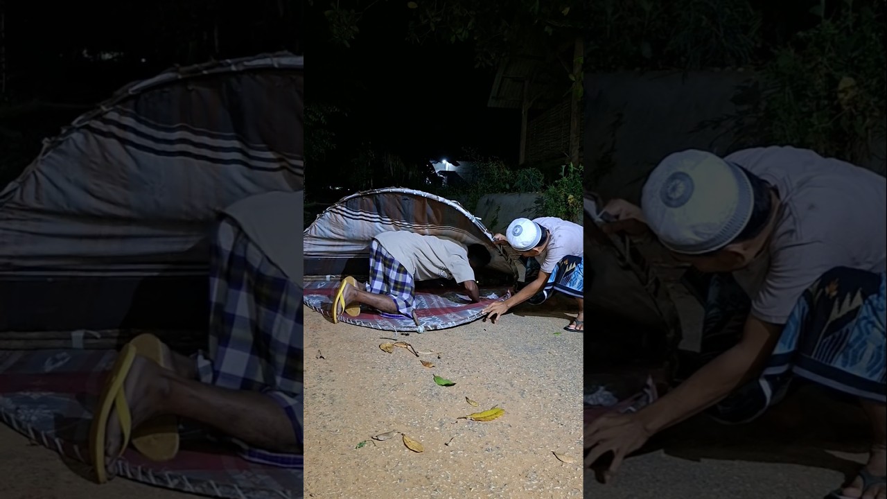 there are cute animals #videoshort