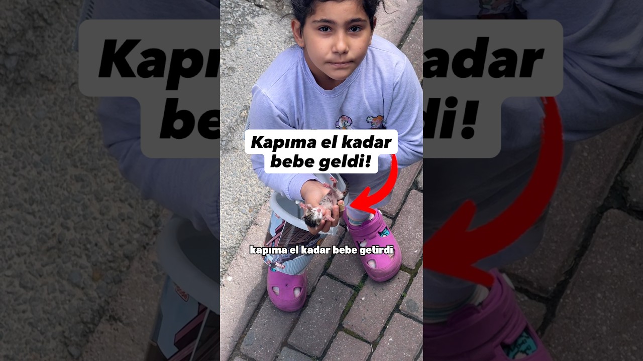 Gün geçmiyor ki zorda kalan bir hayvan için kapım çalınmasın😆