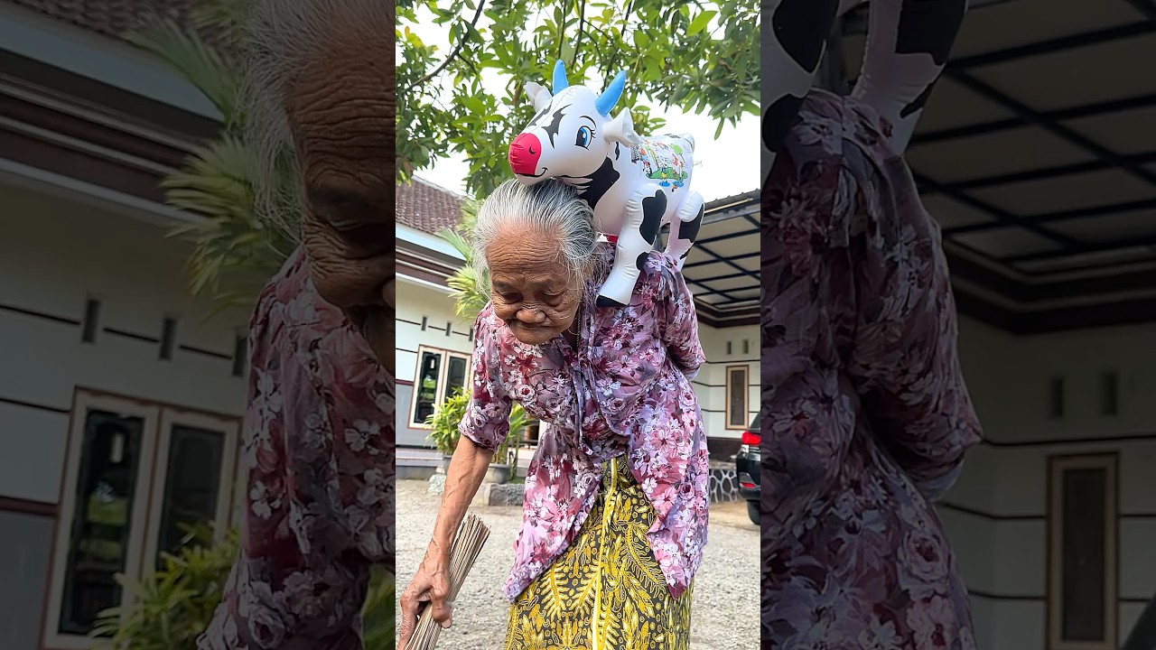 Sapi qurban kena marah nenek sampai ke laut #sapi #sapiqurban #sapilucu #sapimoo #iduladha #shorts