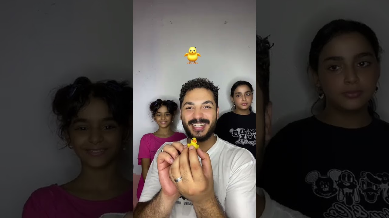 القطه
