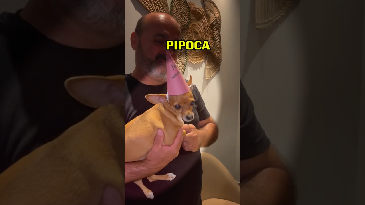 Ela tem medo desse cachorro…