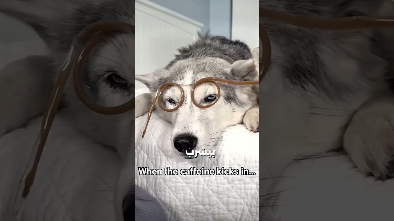 😂 مين اللي بيشرب القهوة؟ طلعت ماما في الآخر! ☕🤣
