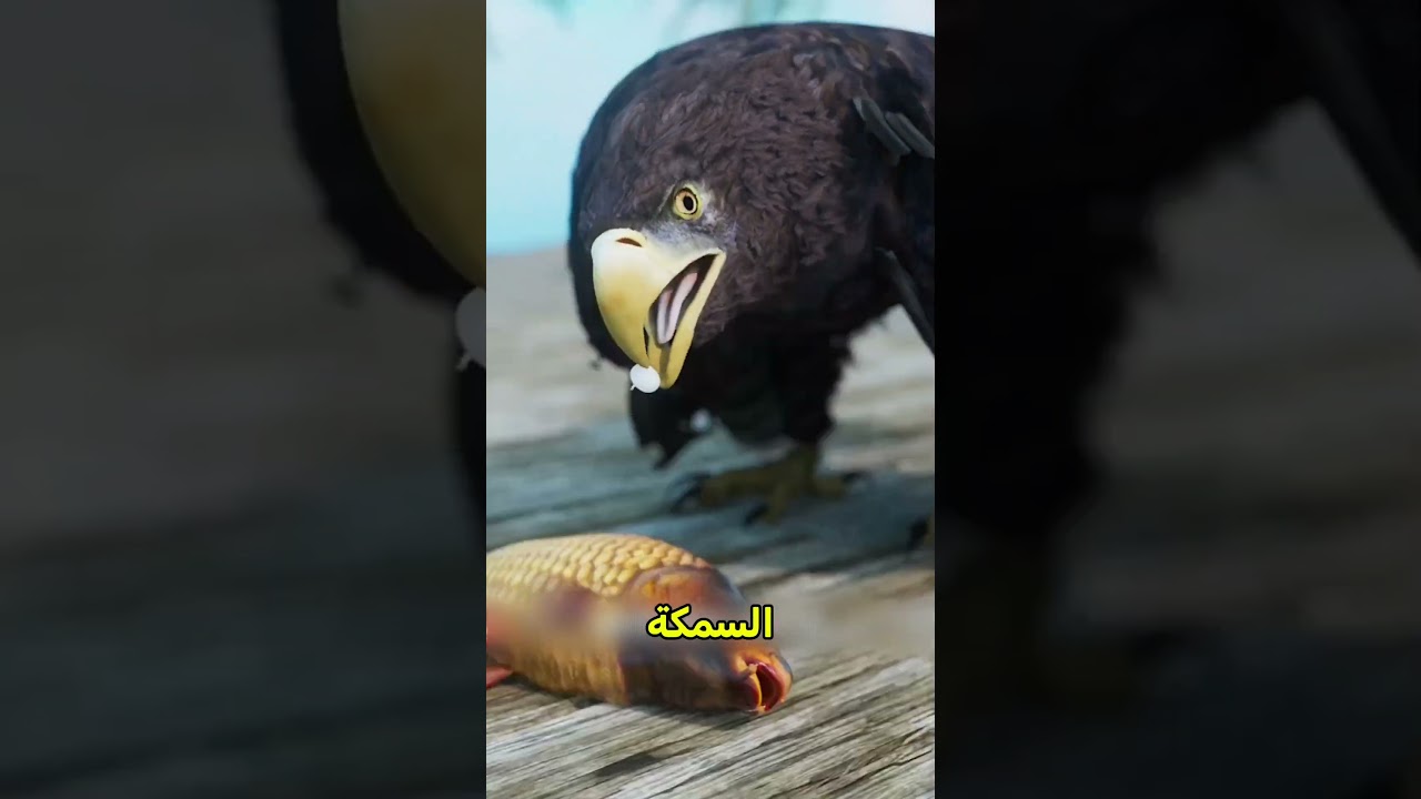 ازاي الدودة بتساعد الطيور تصطاد السمكة😱🤯 #shortvideo