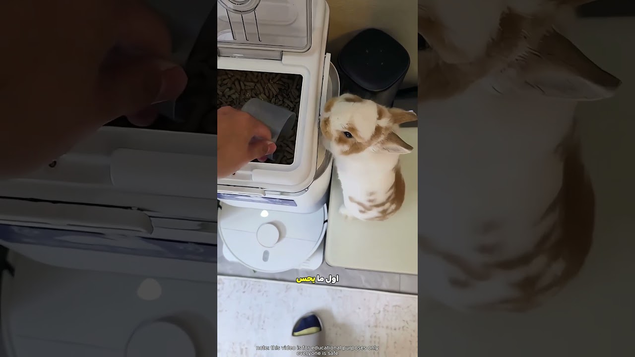 الراجل أثبت للناس سرعة الأرنب 🐇