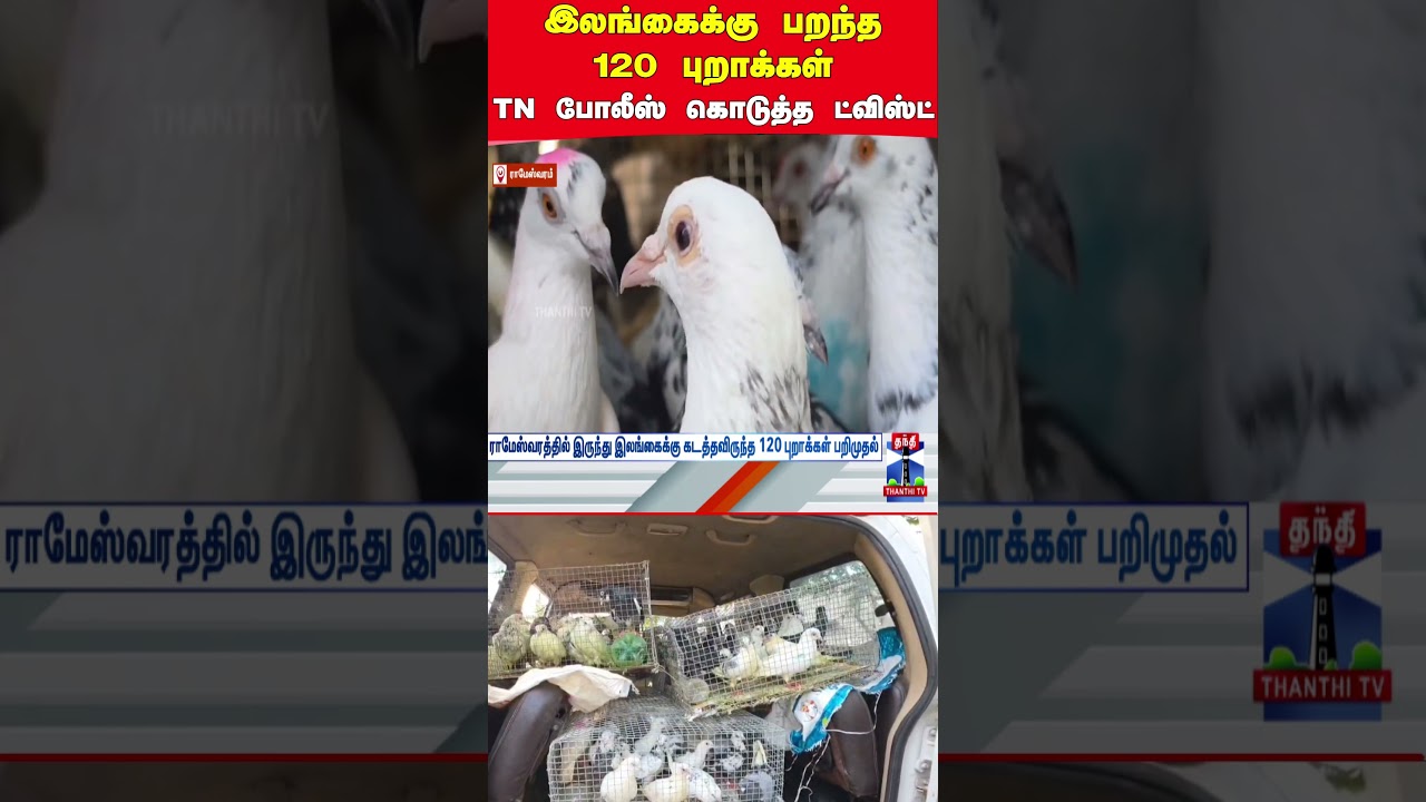 sparrow | srilanka | tnpolice | rameswaram