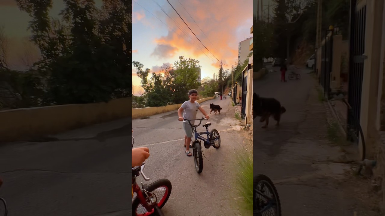 كلب الجيران فلتان بالحي 🤦🏻‍♀️ #shortvideo #اكسبلور #funny #shorts #trending #viral #love #dog
