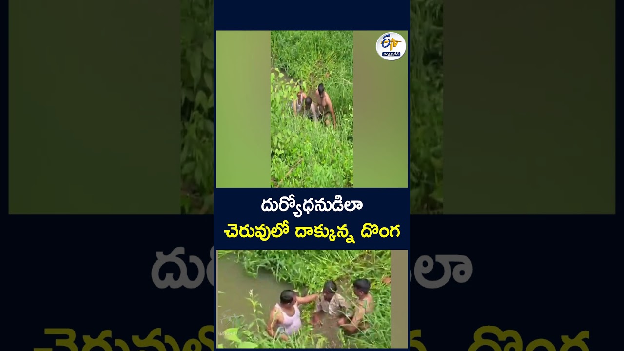 దుర్యోధనుడిలా చెరువులో దాక్కున్న దొంగ #thief #hid #pond #likeDuryodhana
