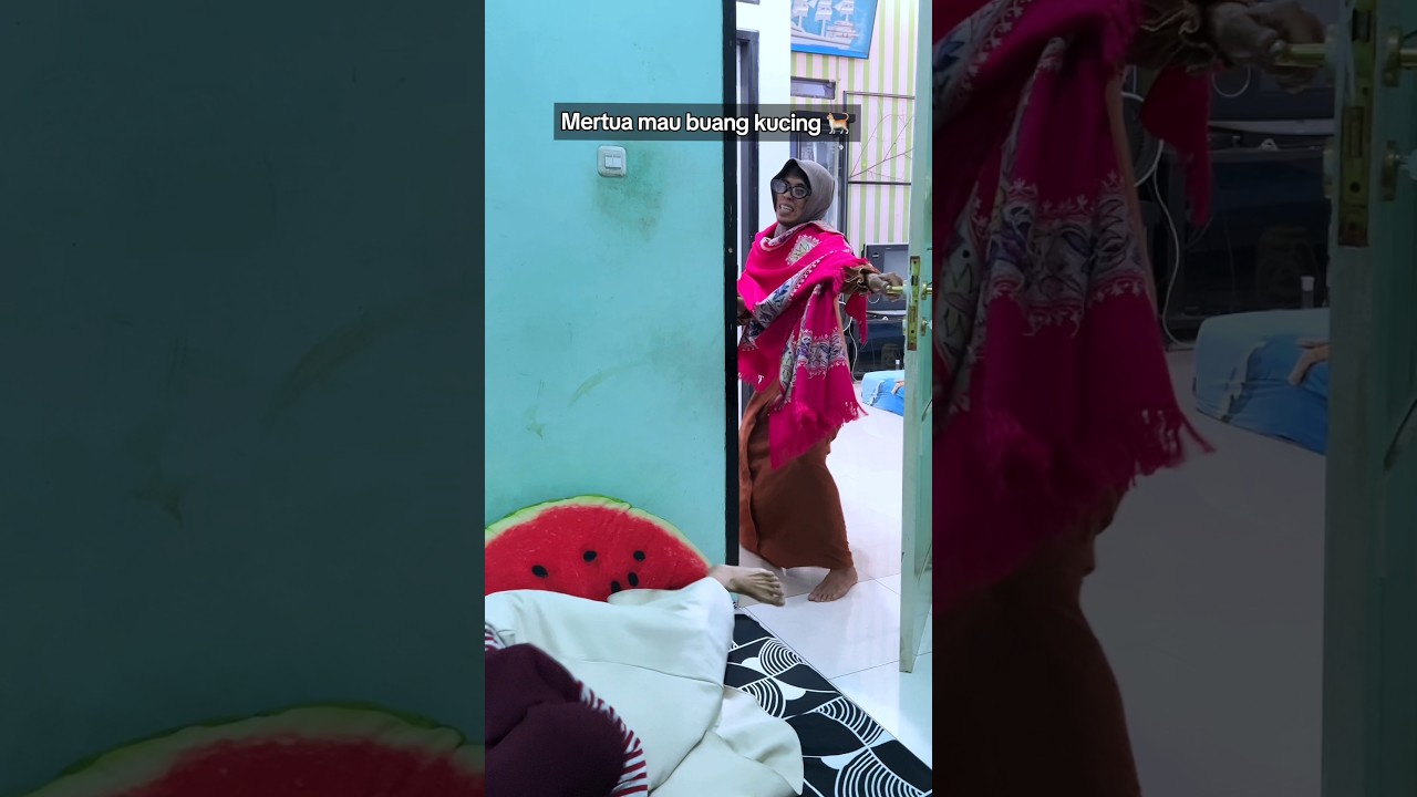 Mertua selalu ganggu kucing-kucingku 😮‍💨 #relate #videolucu #cat #kucing #funnyvideo #kucinglucu