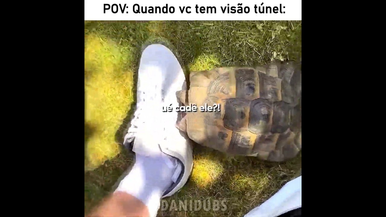 Essa tartaruga realmente tá bem brava 😅 #edit #fyp #humor #animals