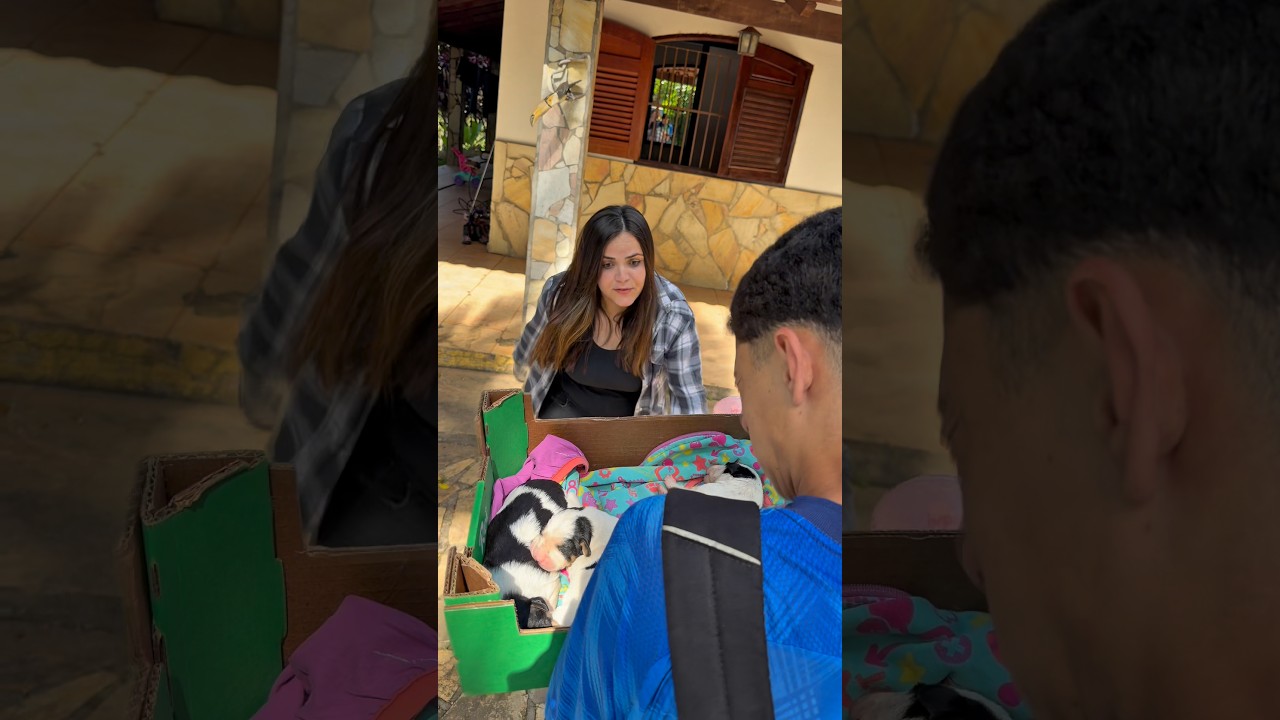 Uma família fora do normal 🤪 ep. “ Era pra ser só um cachorrinho…”