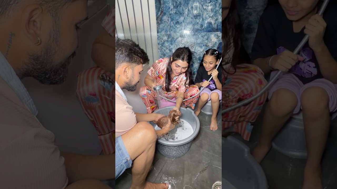 Cash को नेहला के आया मजा🐶🥳 #youtubeshorts #shorts #shortvideos #kajalsoni @Kajalsoni_vlogs