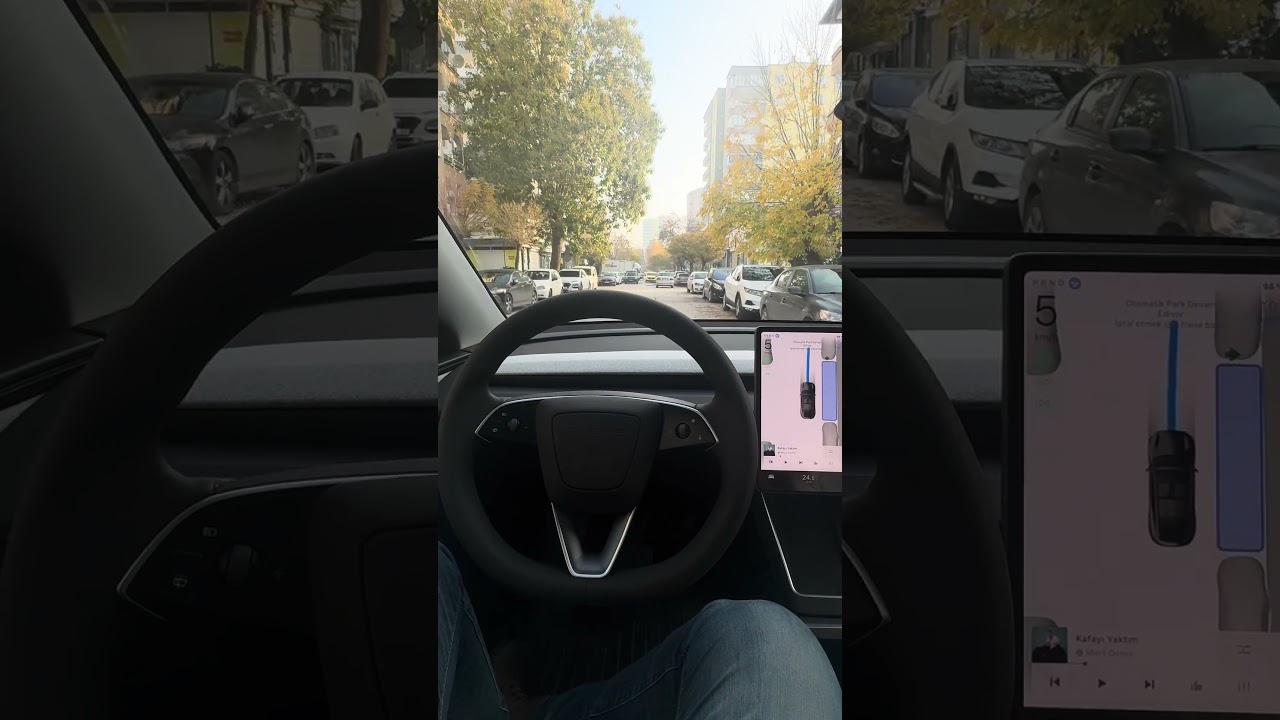 Teslanın Uzamsal Otomatik Parkı