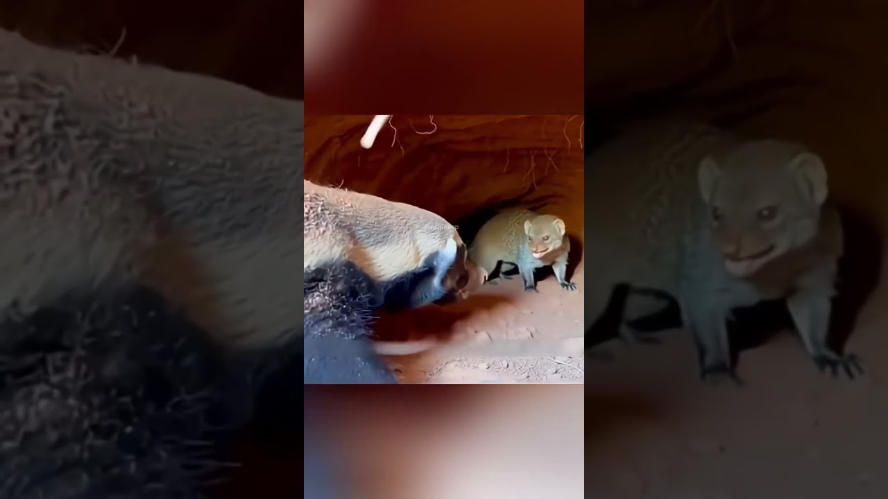 This man was trapped at the airport for 13 years