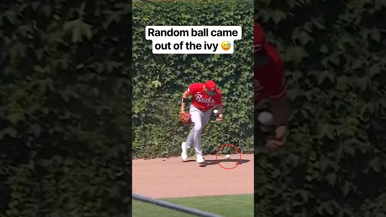 How long has that ball been stuck there? 😭