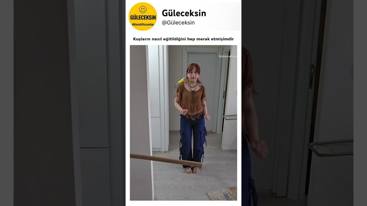 Kuşların nasıl eğitildiğini hep merak etmişimdir