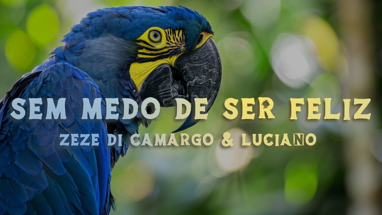 Zezé Di Camargo & Luciano - Sem Medo de Ser Feliz (Lyrics/Letra)