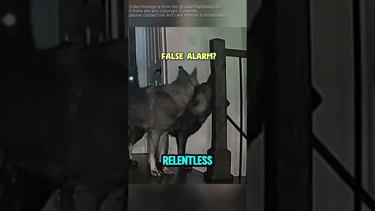 Absolute Sense of Security #animals #wildlife #animalfacts - Published by Interesting Animal