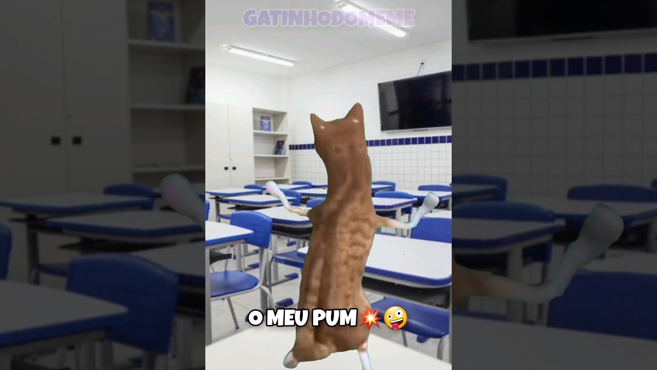 AÍ É MUITO FÁCIL #gatinhodomeme #doge #gatos