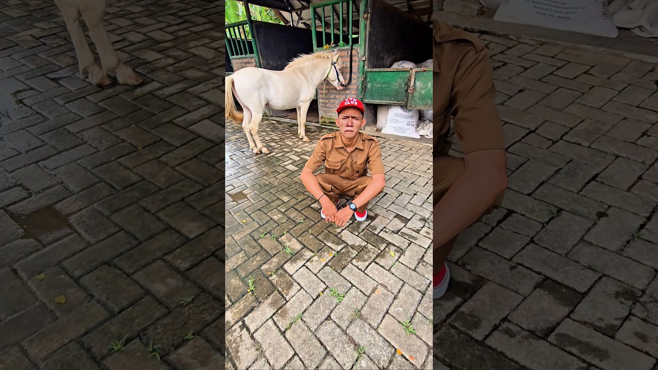 ngokngok nangis pengen naik kuda🥺🥺🥺🥺🥺