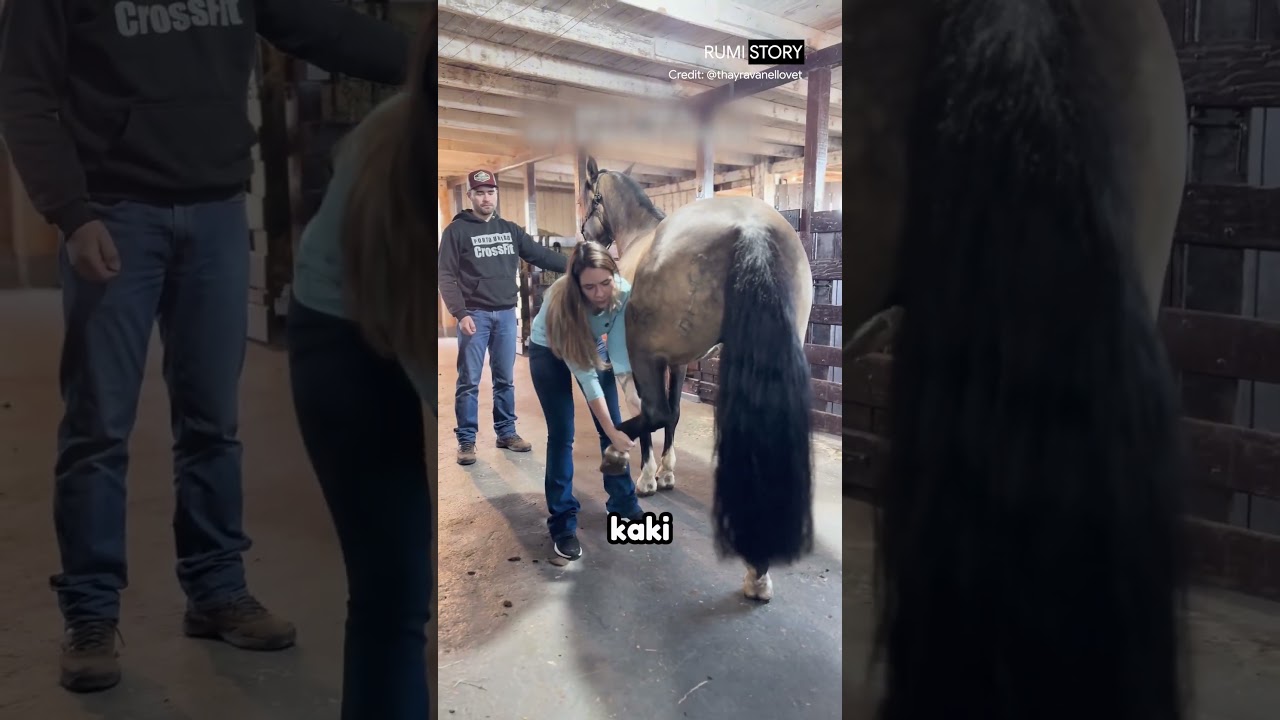 Teknik Ini Bikin Reaksi Kuda Berubah Seketika